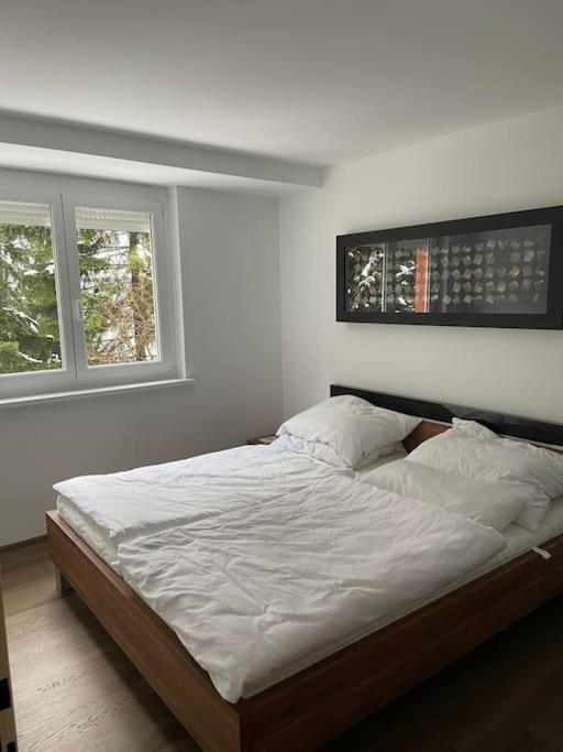 Seewohnung Mit Direktem Seezugang-Skiliftnaehe Филлах Экстерьер фото
